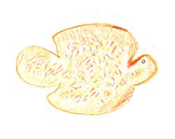 scarcella