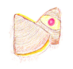 sfogliatelle
